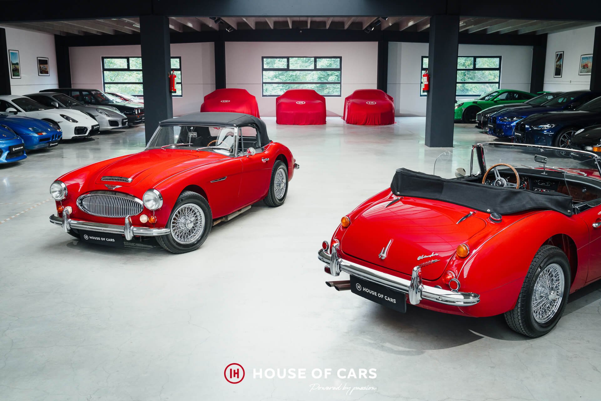 1967 Austin-Healey BJ 8 - 3000 MkIII - Nut-and-bolt restoration, foto 1