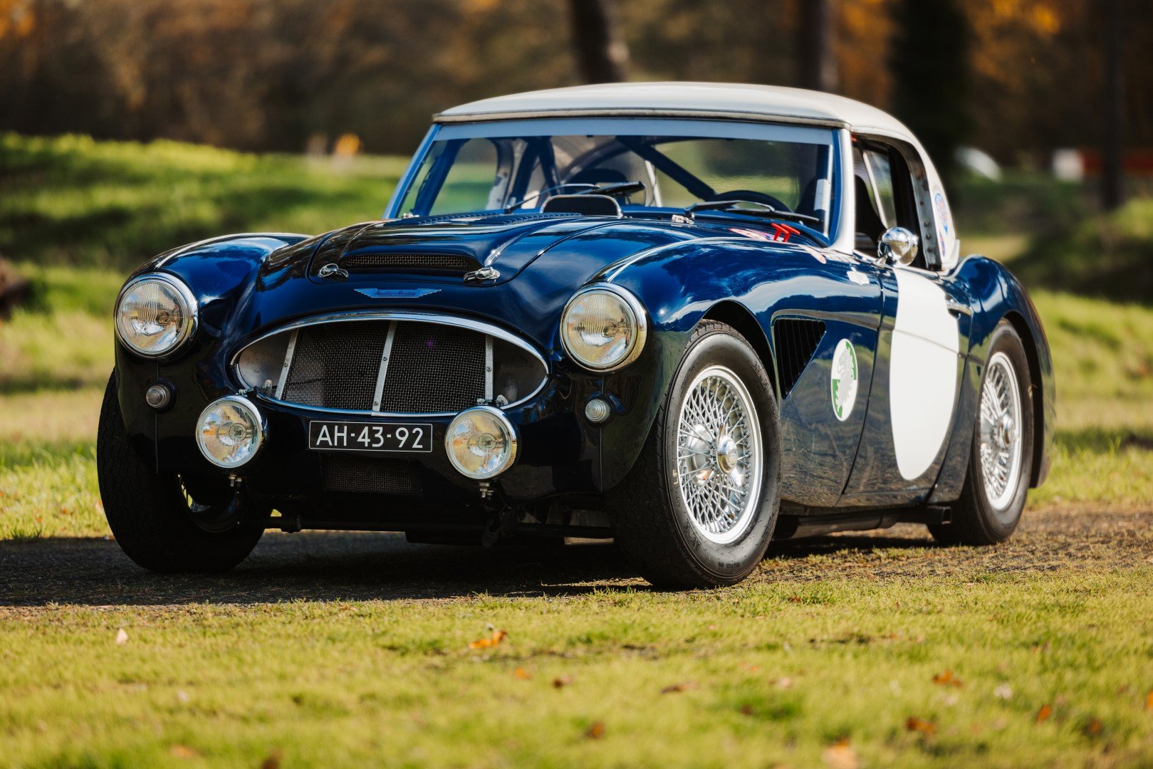 1960 Austin-Healey 3000, foto 1