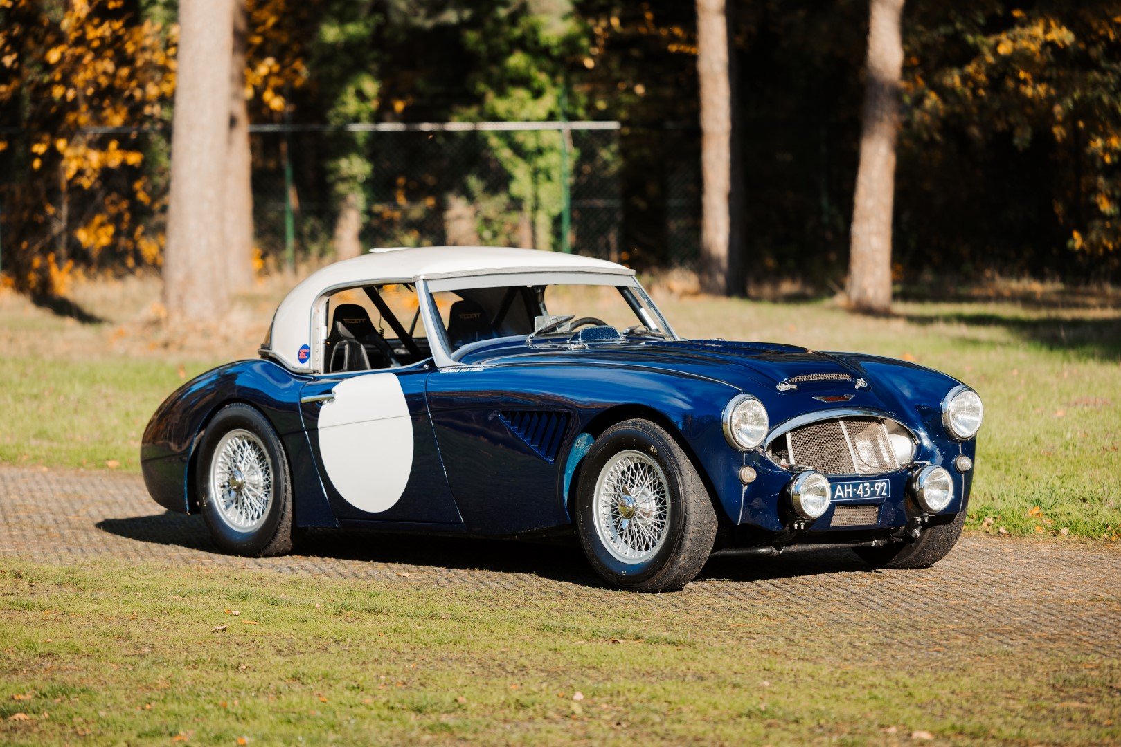 1960 Austin-Healey 3000, foto 4