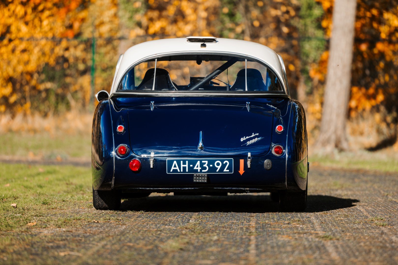 1960 Austin-Healey 3000, foto 7