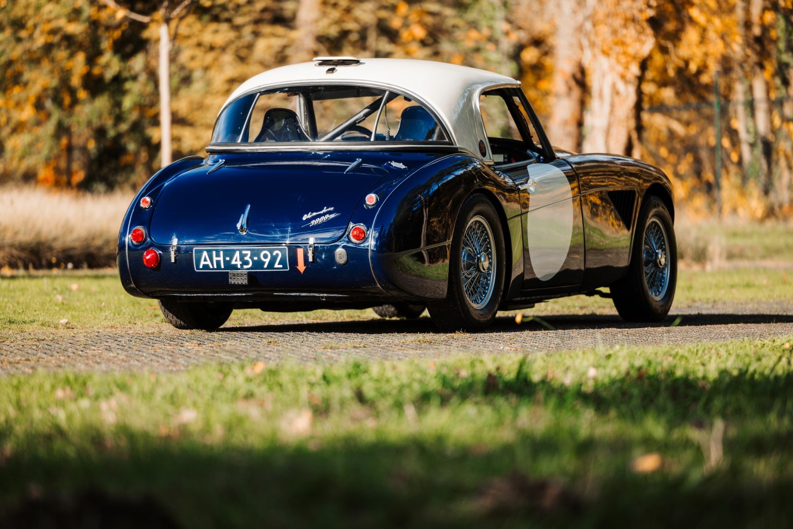 1960 Austin-Healey 3000, foto 8