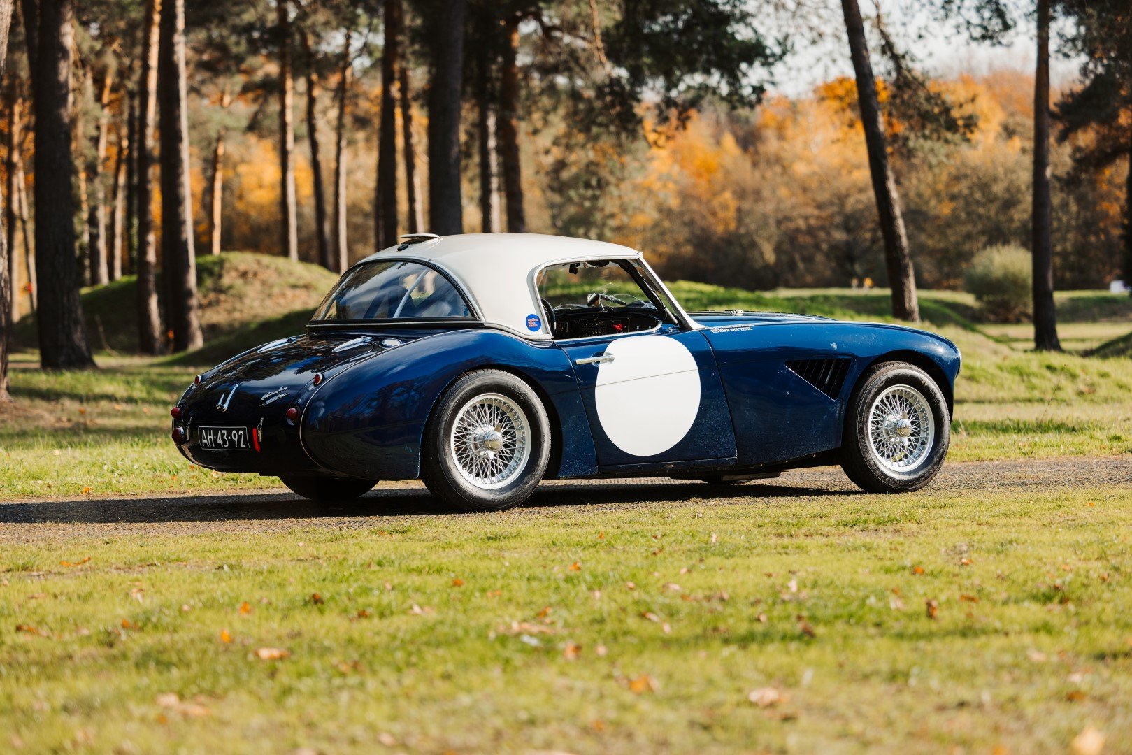 1960 Austin-Healey 3000, foto 9