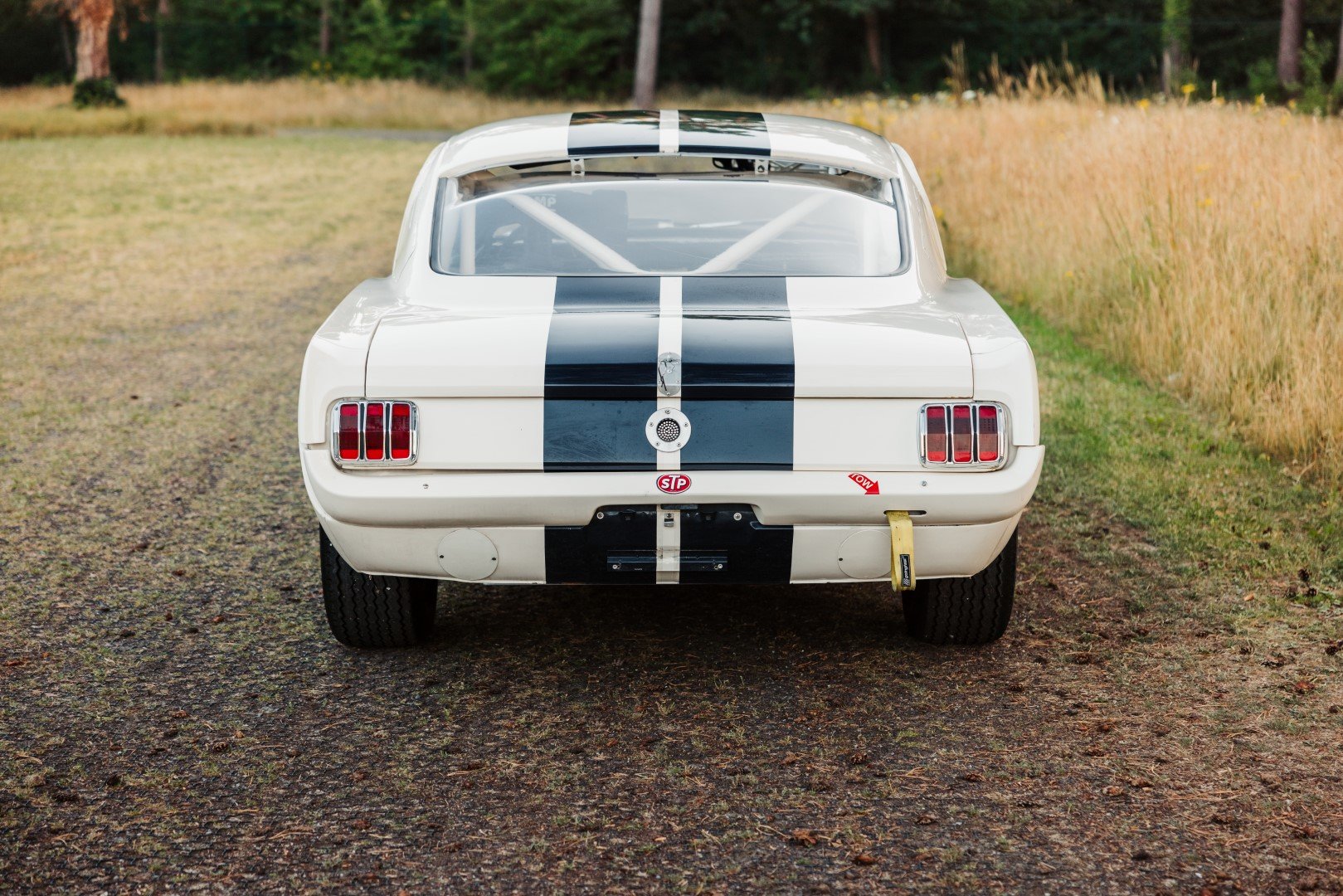 1965 Ford Mustang - "Shelby", foto 4