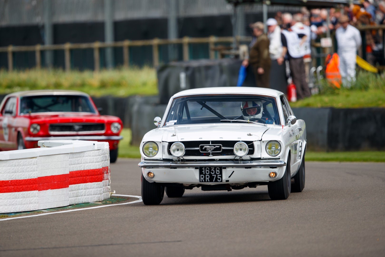 1965 Ford Mustang - Notchback, foto 3