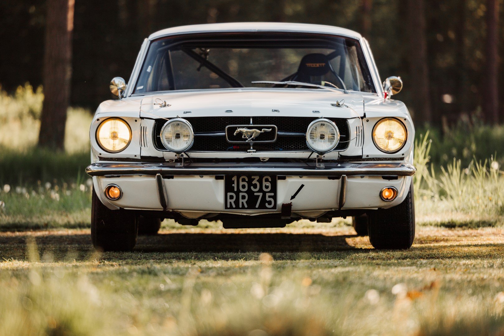 1965 Ford Mustang - Notchback, foto 6