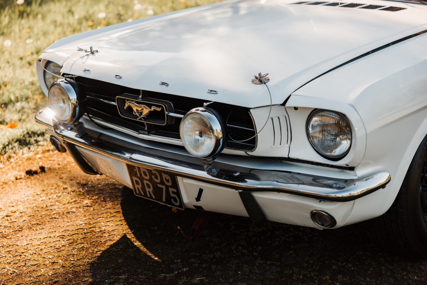 1965 Ford Mustang - Notchback, foto 9