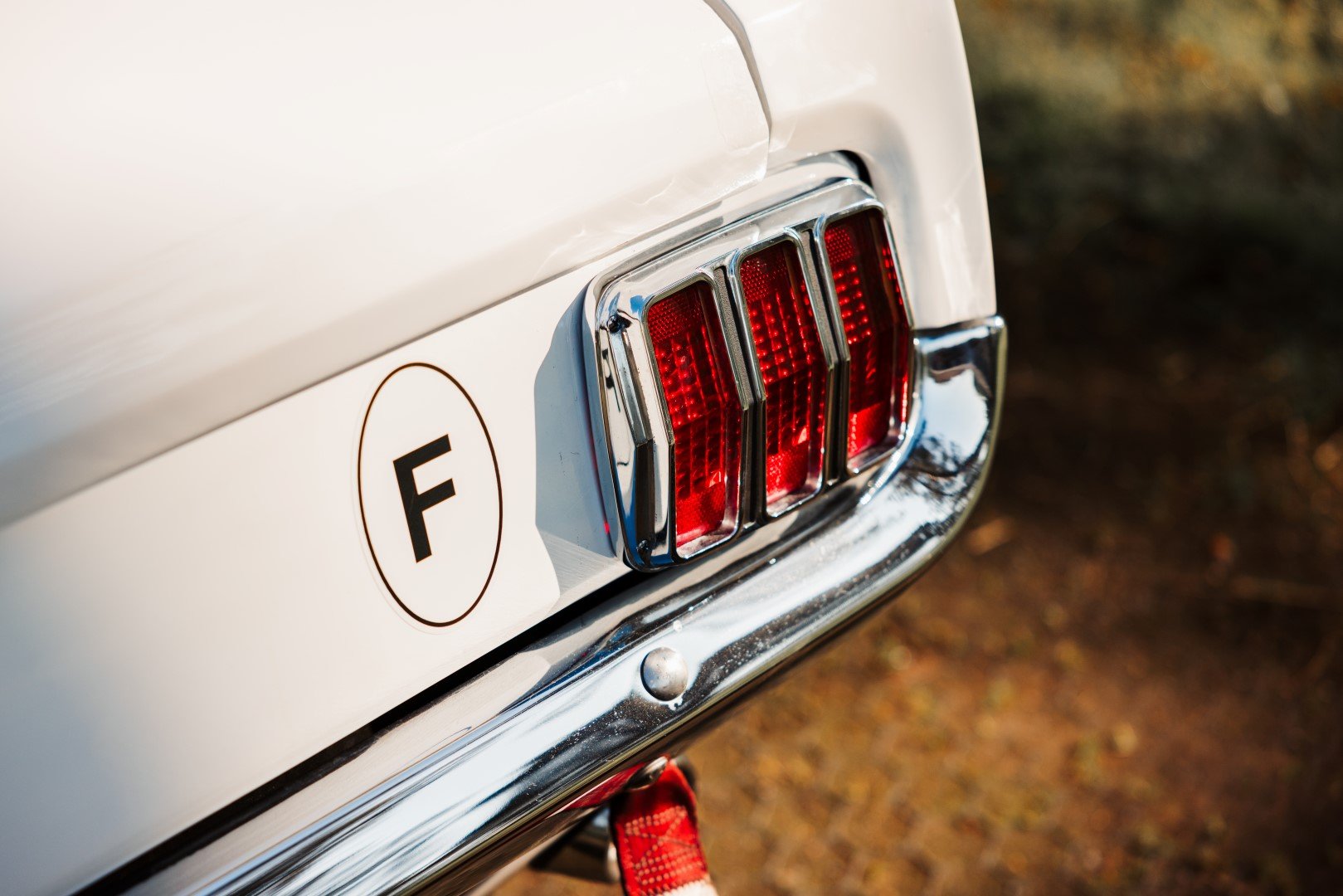 1965 Ford Mustang - Notchback, foto 10