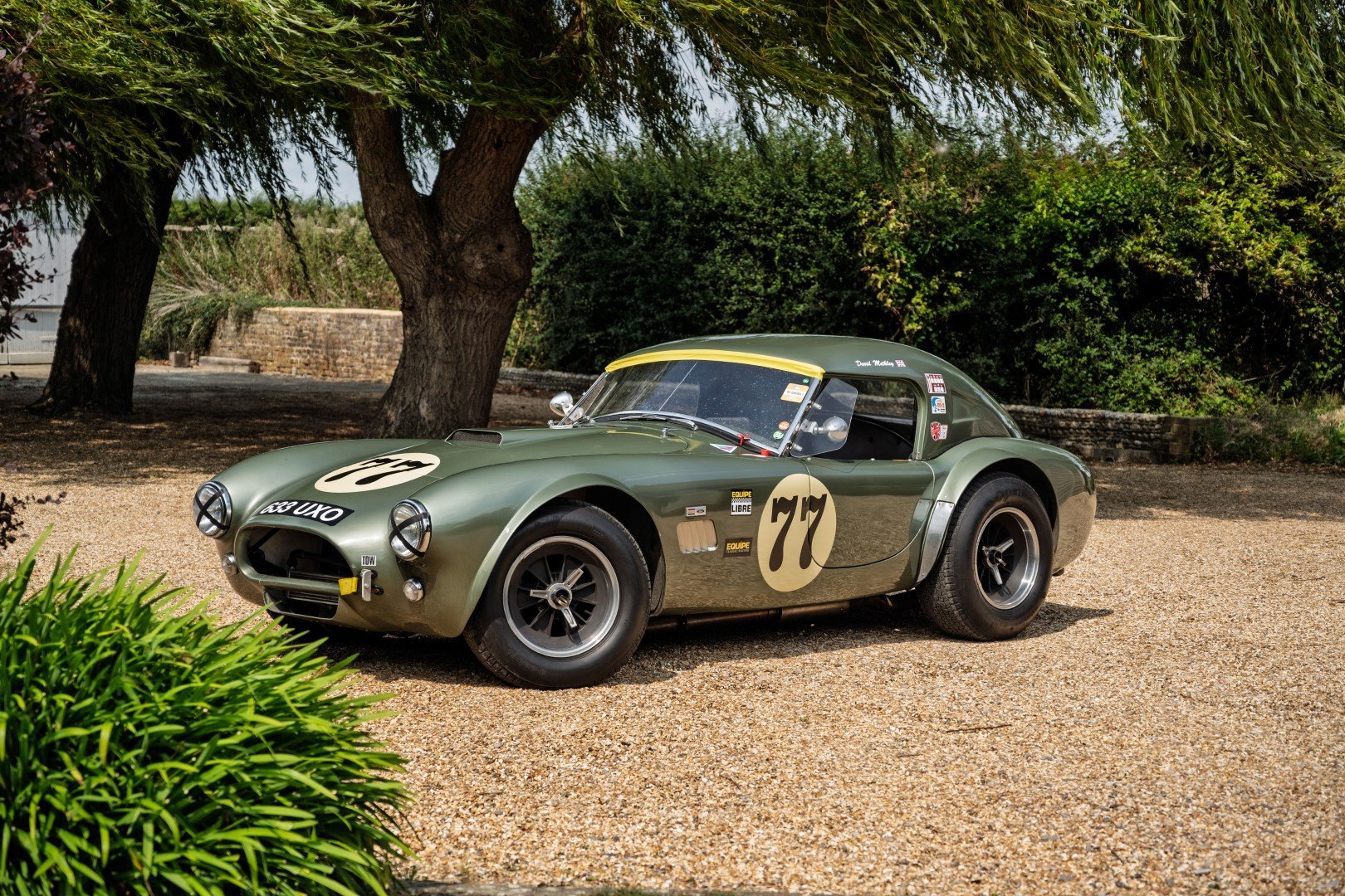 1965 Shelby Cobra - FIA 289, foto 1