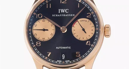 IWC 05df05891d498875266c12dd7d4031d2.webp