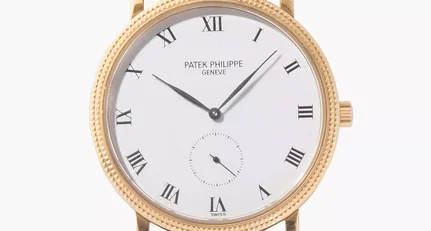 Patek Philippe a85d1333fcbcdb769905d3d92b899462.webp