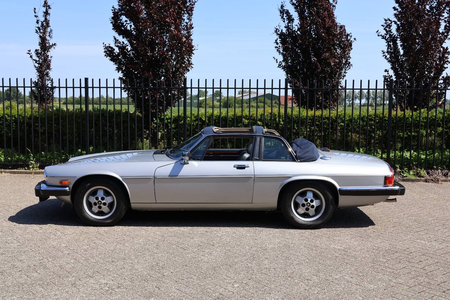 1987 Jaguar XJS - XJS-C, foto 5