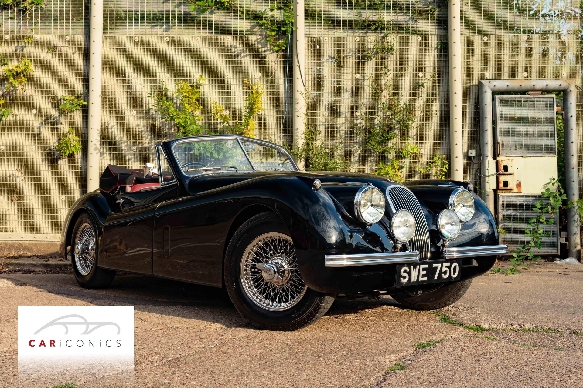 1954 Jaguar XK 120 - DHC, foto 1