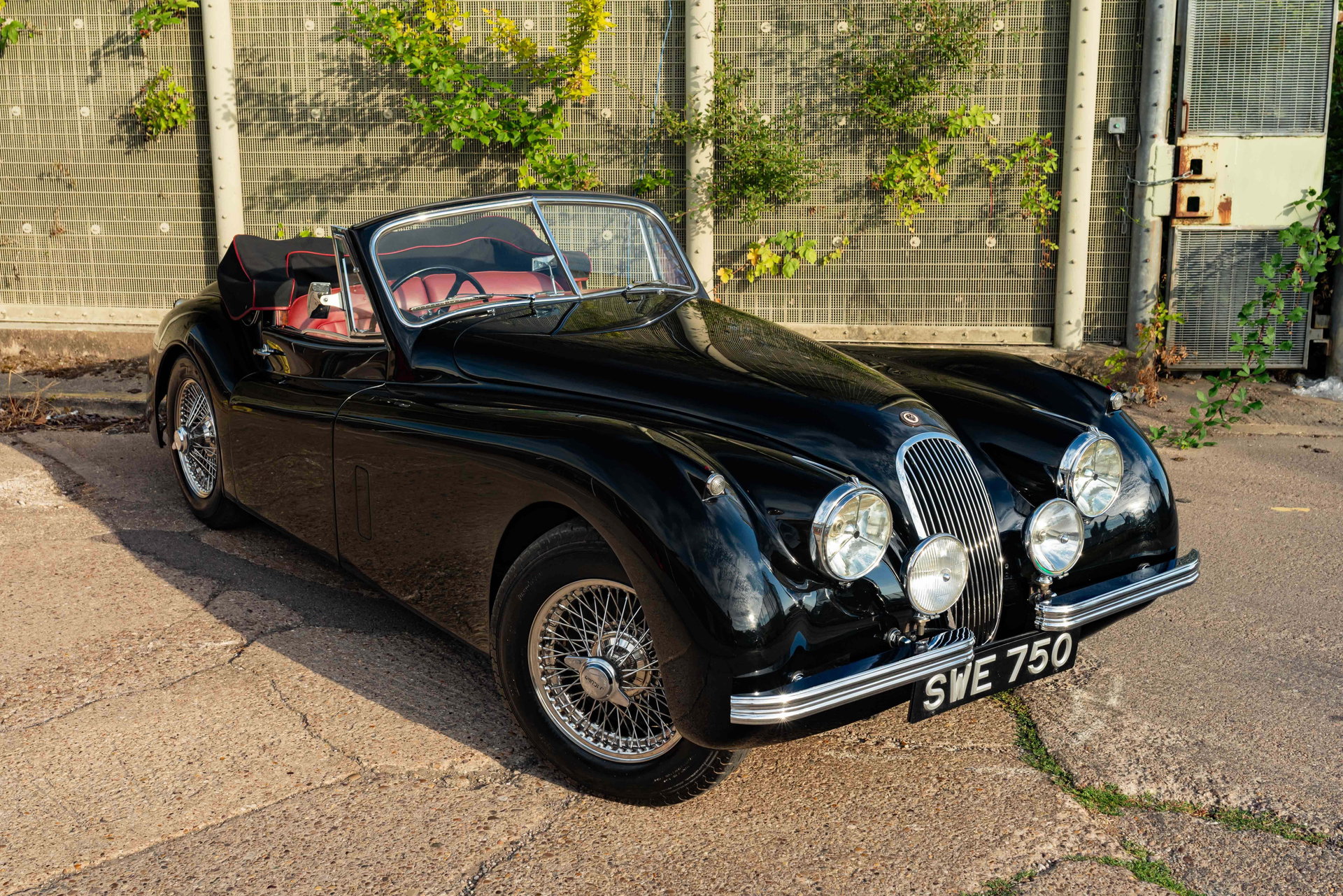 1954 Jaguar XK 120 - DHC, foto 2