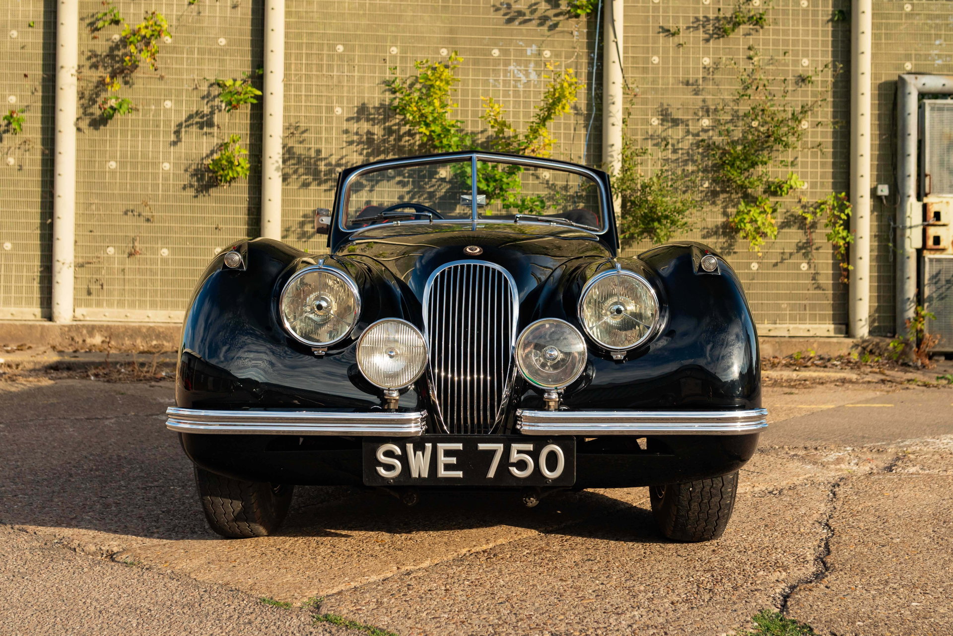 1954 Jaguar XK 120 - DHC, foto 3