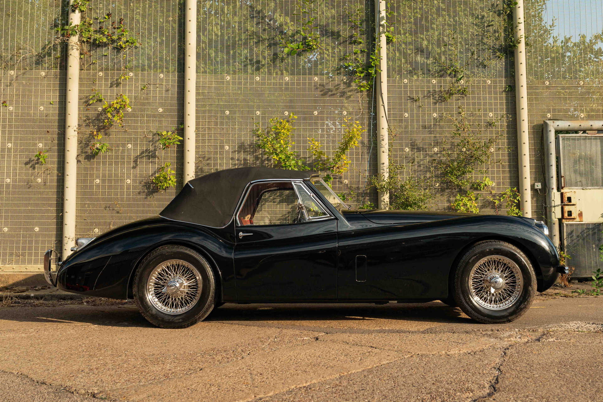 1954 Jaguar XK 120 - DHC, foto 8