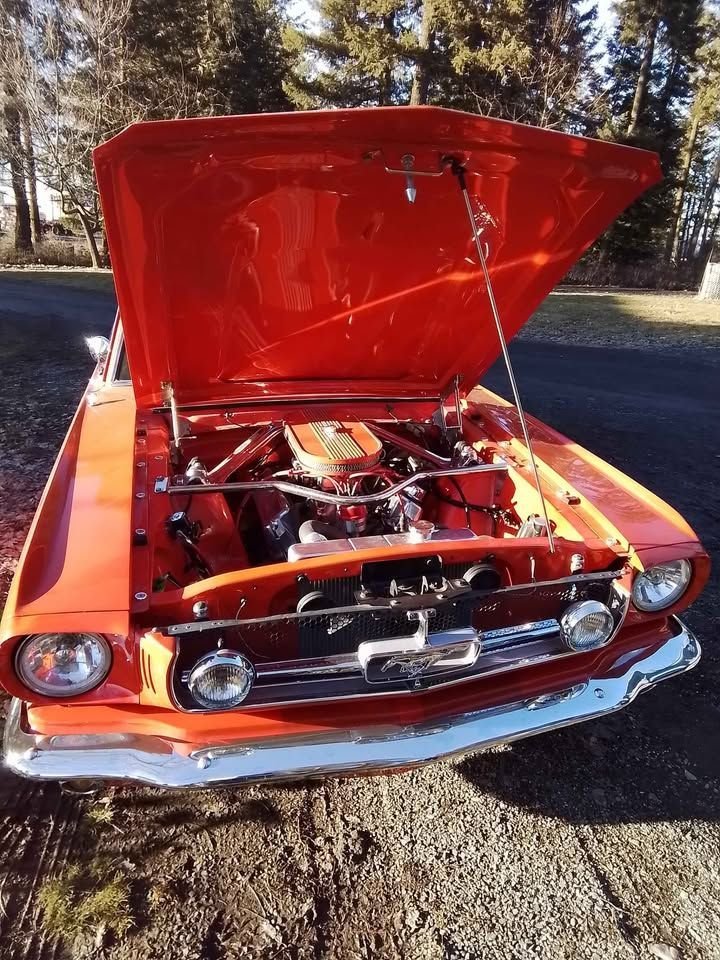 1965 Ford Mustang, foto 10