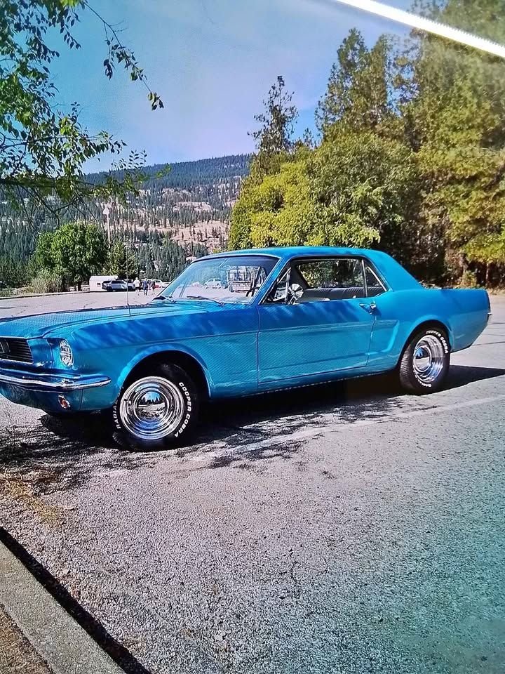 1966 Ford Mustang, foto 2