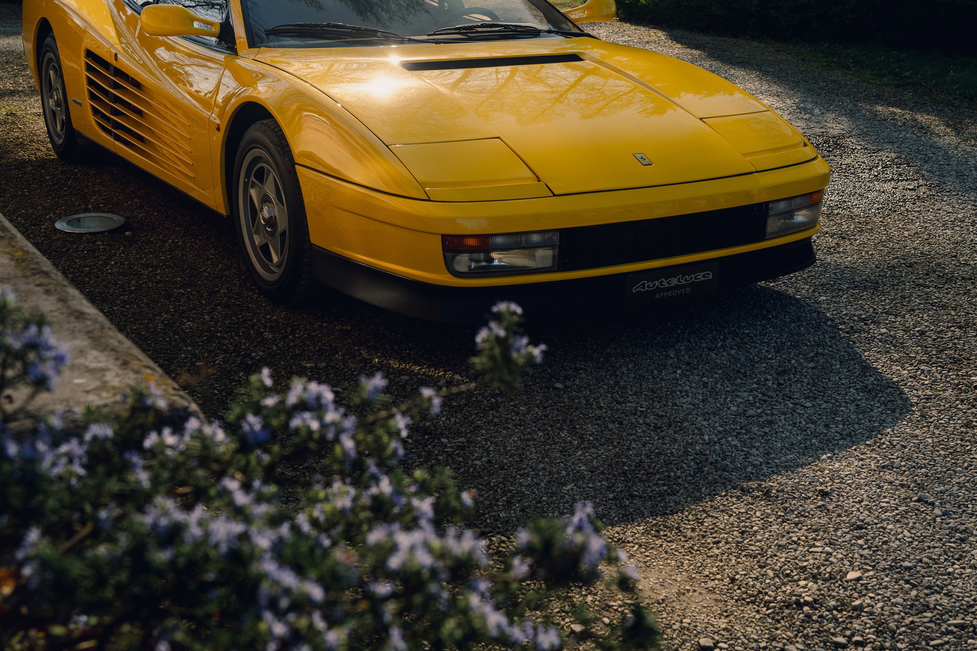 1987 Ferrari Testarossa - Monodado, foto 6