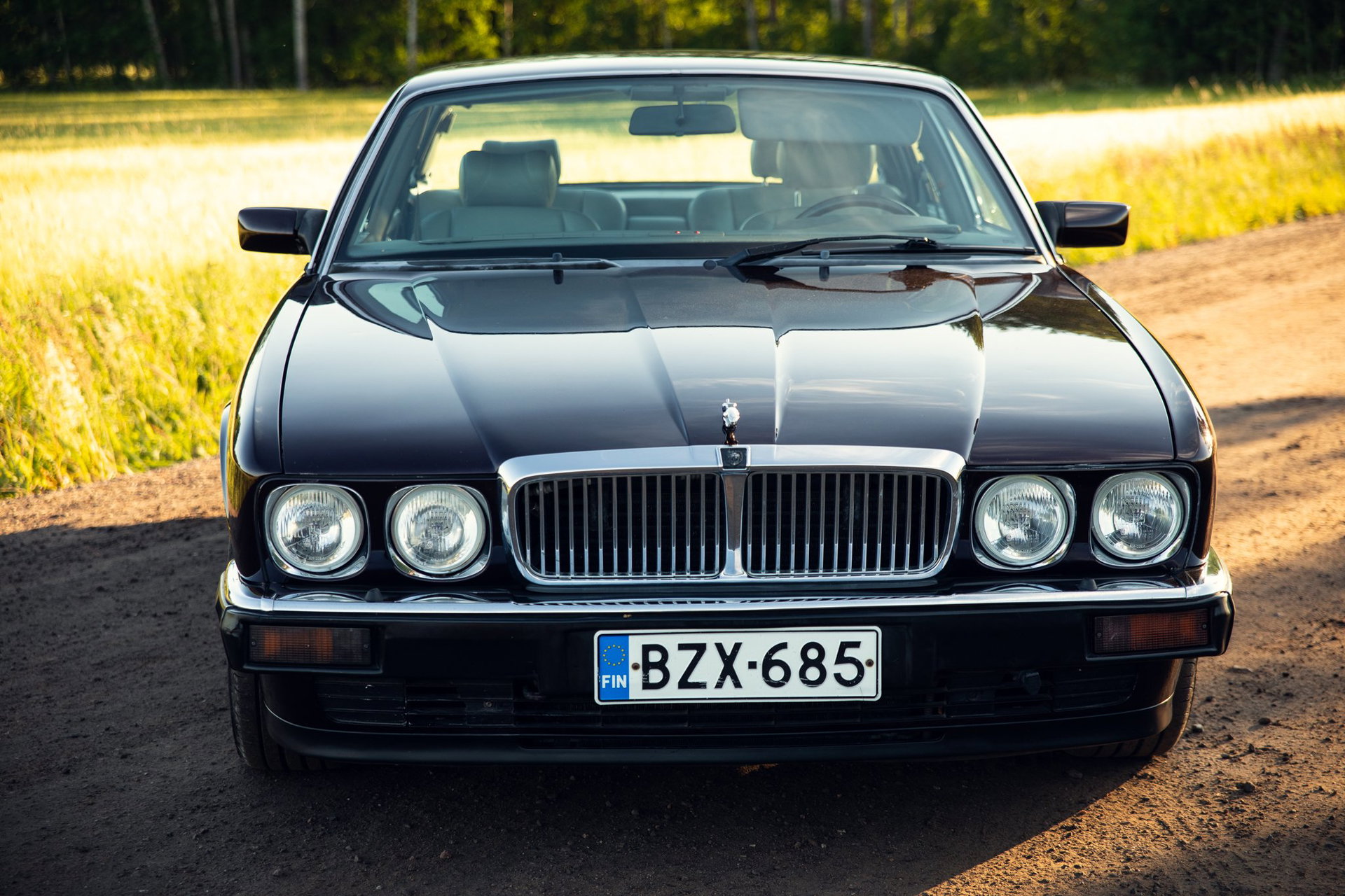 1992 Jaguar XJ40 - Insignia, foto 2