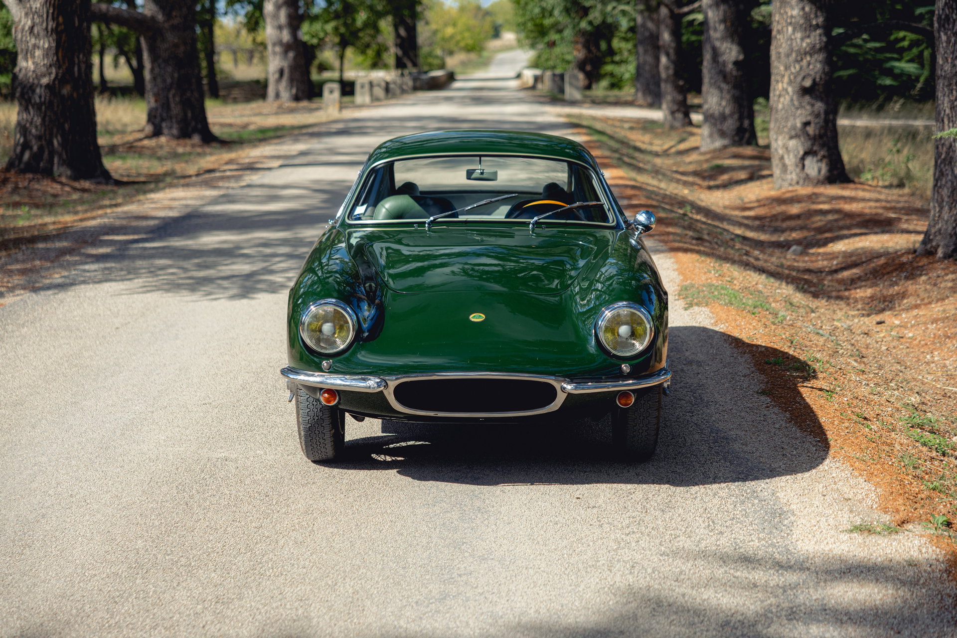 1962 Lotus Elite - Série II, foto 6