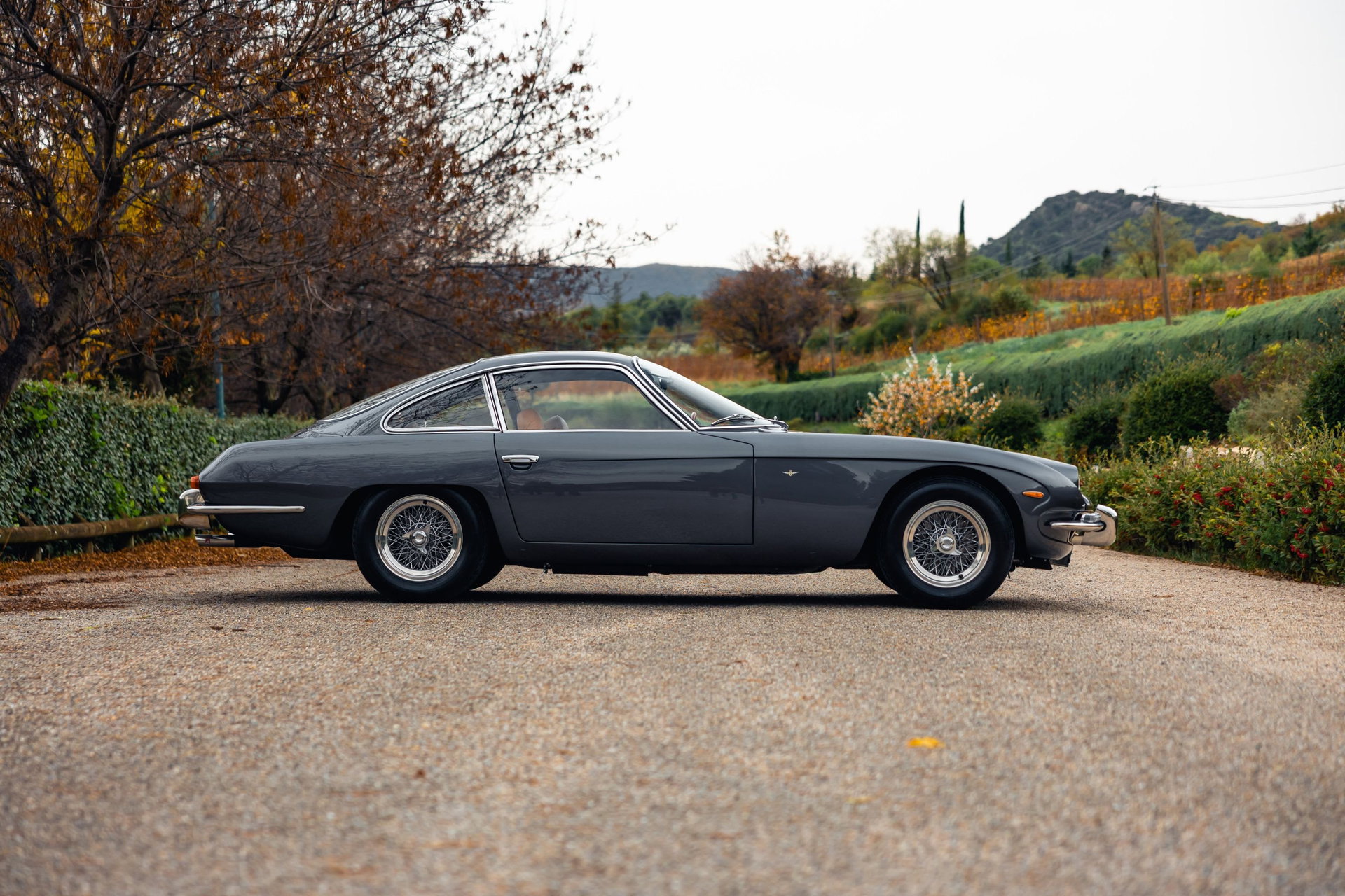 1966 Lamborghini 350 GT - Interim, foto 6