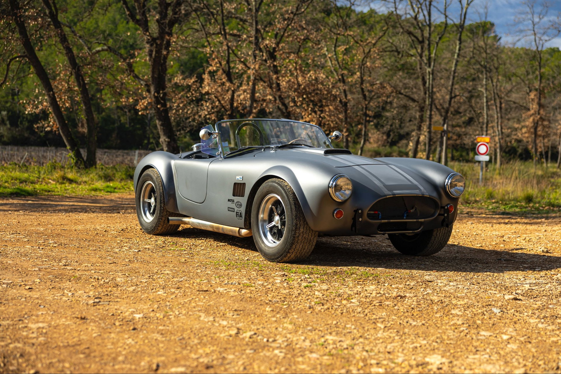 1980 AC Cobra - AC Cobra 289 Unique Motorcars, foto 1
