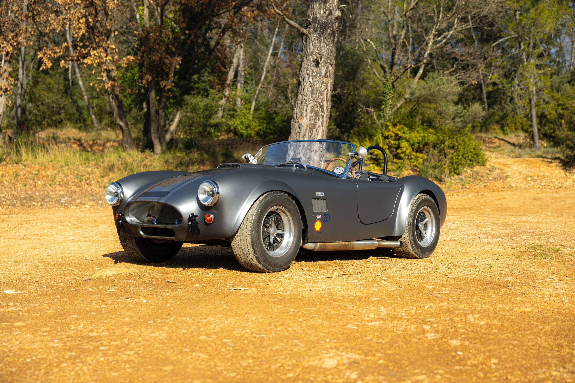 1980 AC Cobra - AC Cobra 289 Unique Motorcars, foto 7
