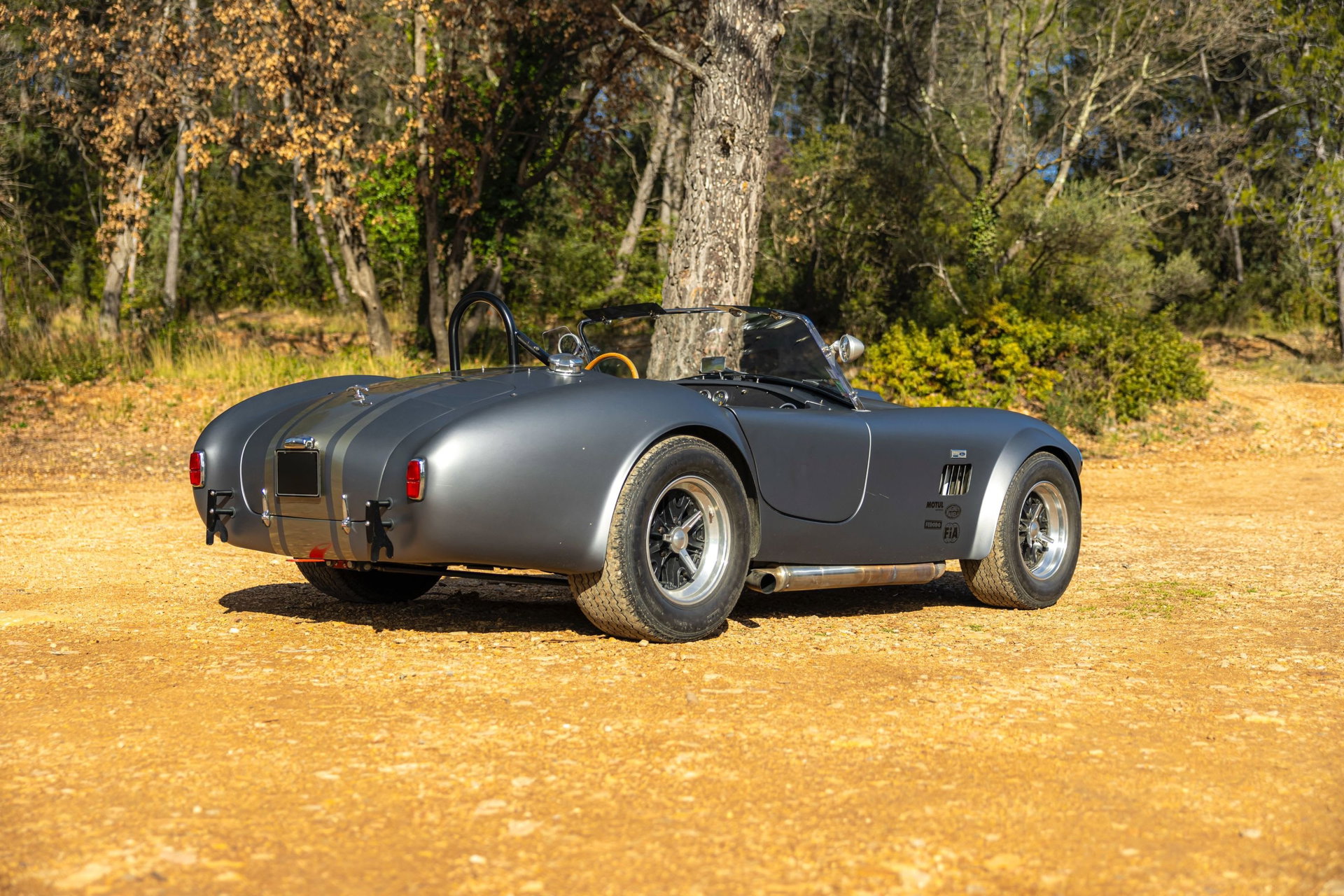 1980 AC Cobra - AC Cobra 289 Unique Motorcars, foto 8