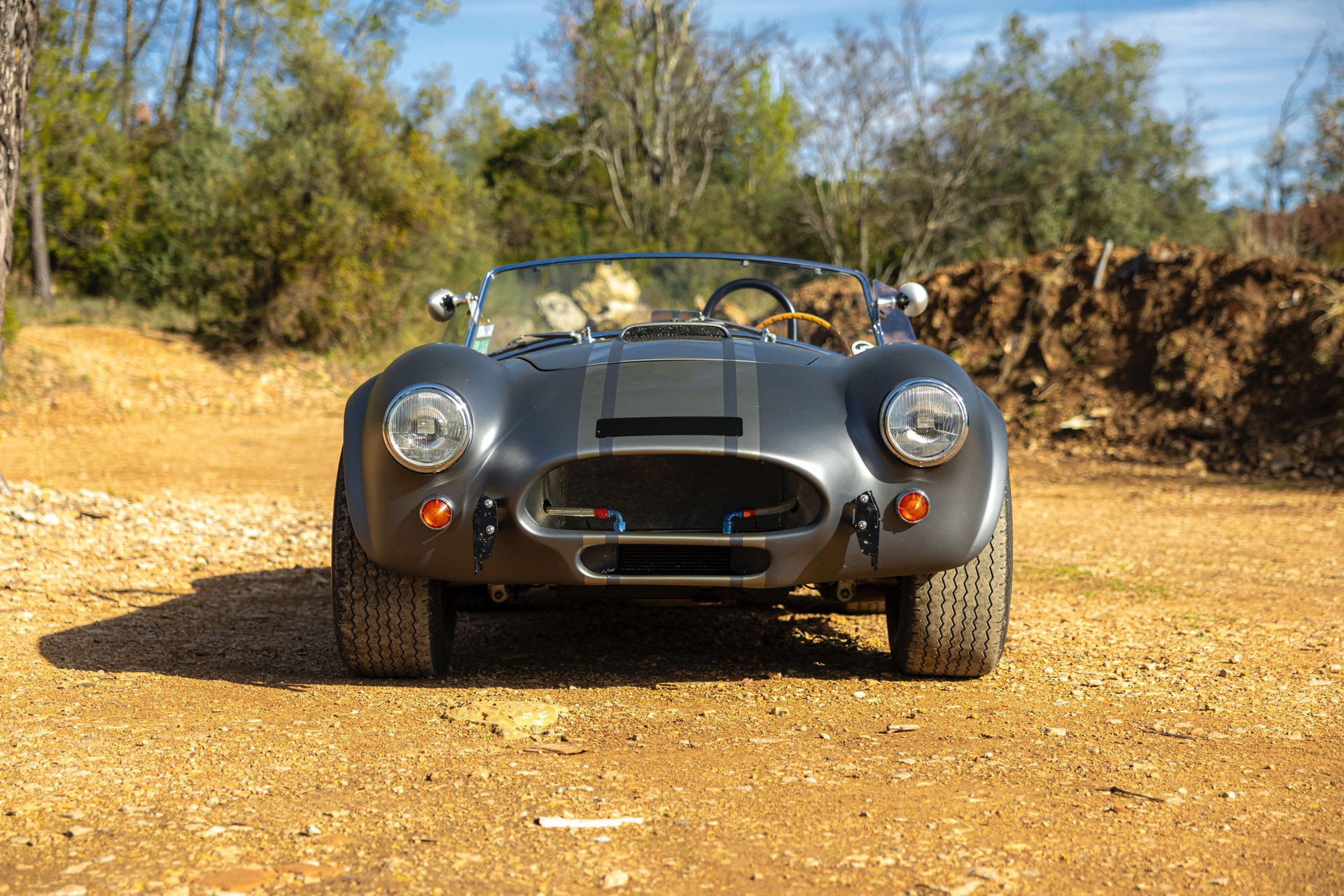 1980 AC Cobra - AC Cobra 289 Unique Motorcars, foto 9