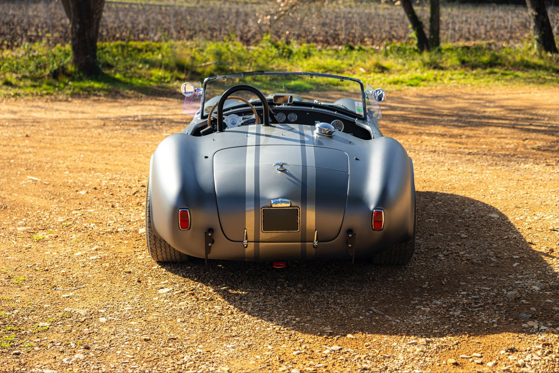 1980 AC Cobra - AC Cobra 289 Unique Motorcars, foto 11