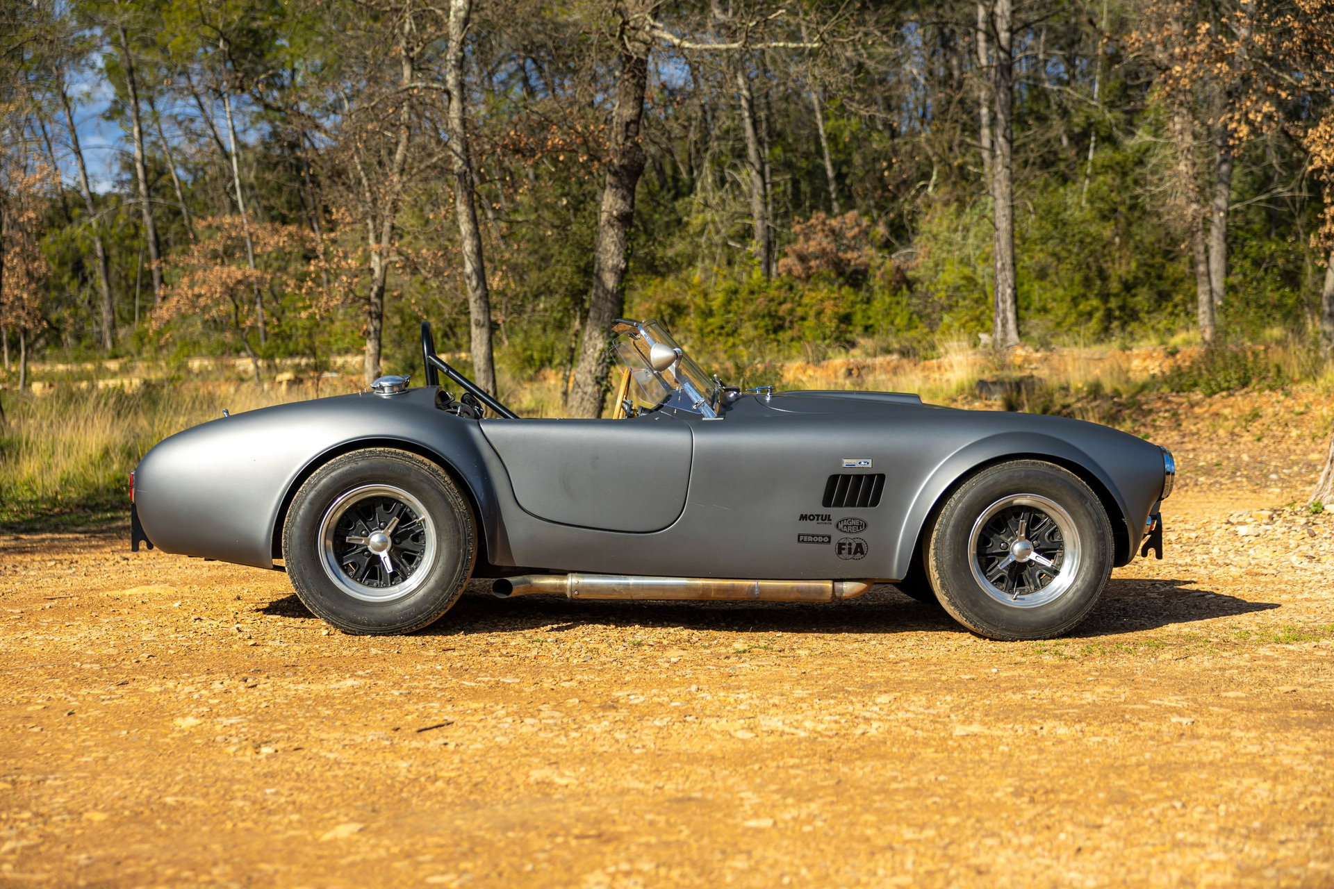 1980 AC Cobra - AC Cobra 289 Unique Motorcars, foto 12