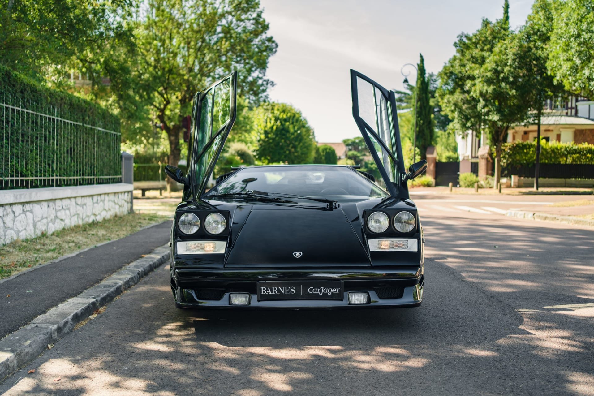1990 Lamborghini Countach - 25th Anniversary, foto 4