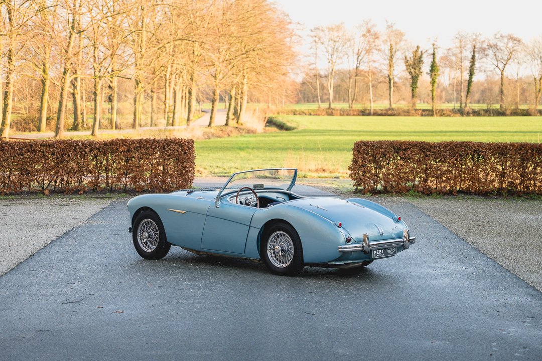 1955 Austin-Healey 100 / 4, foto 5