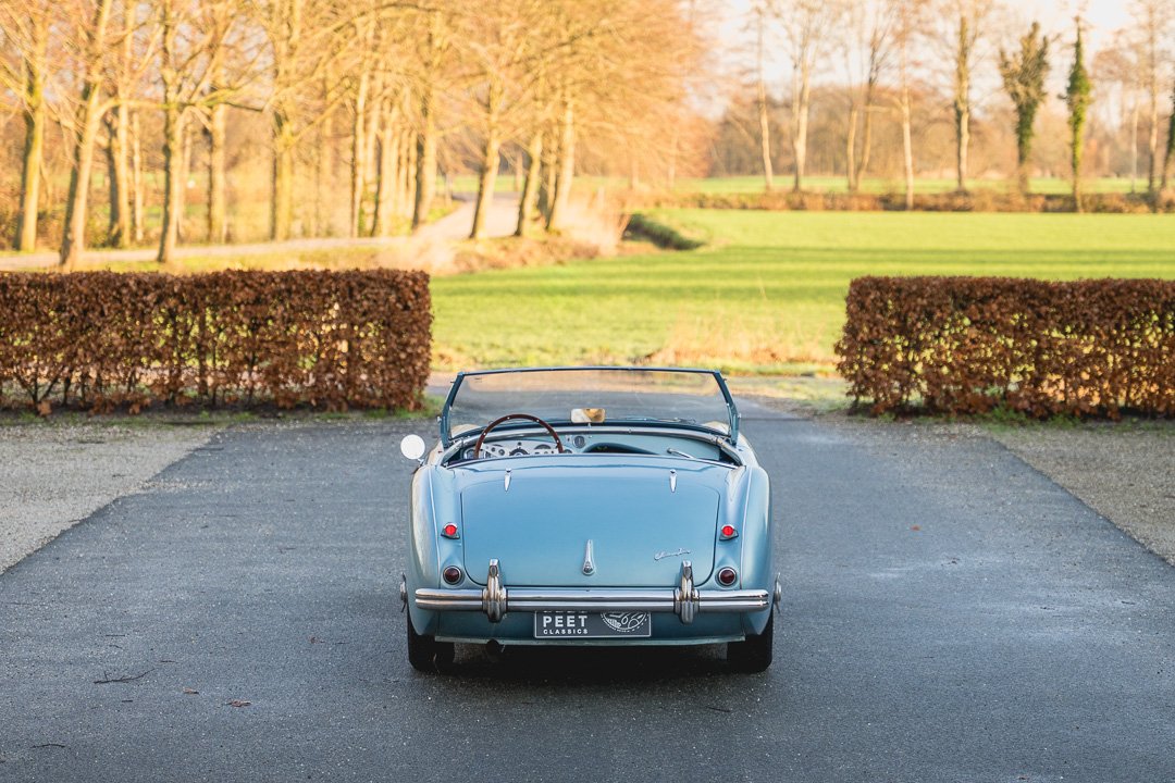 1955 Austin-Healey 100 / 4, foto 6