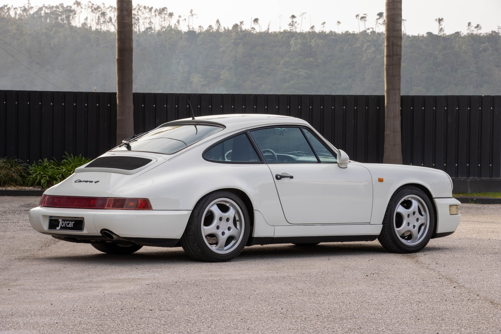 1991 Porsche 911 / 964 Carrera - 4, foto 6