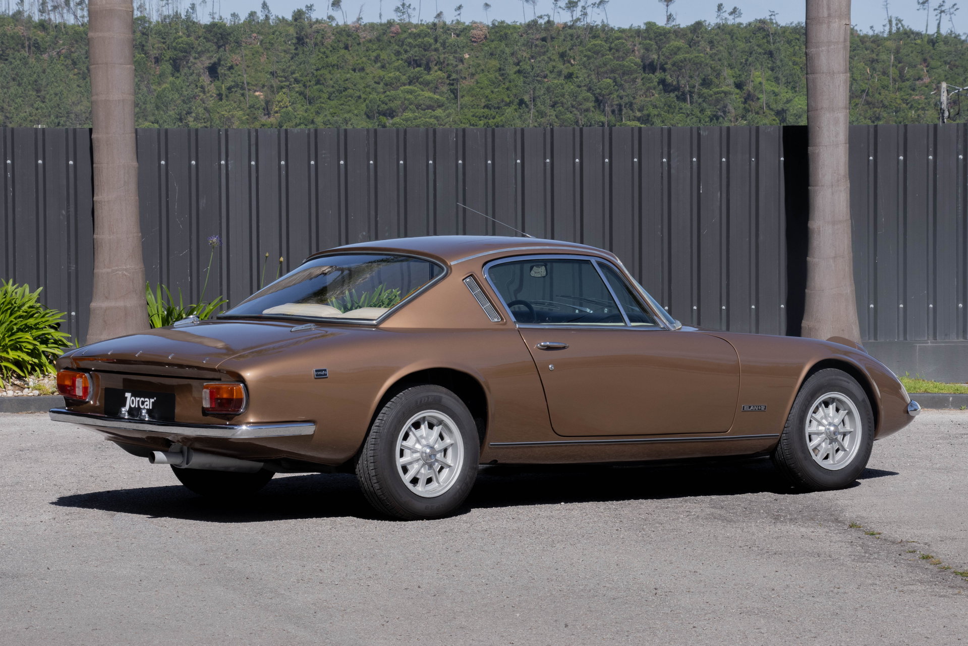 1974 Lotus Elan - 130S +2, foto 12