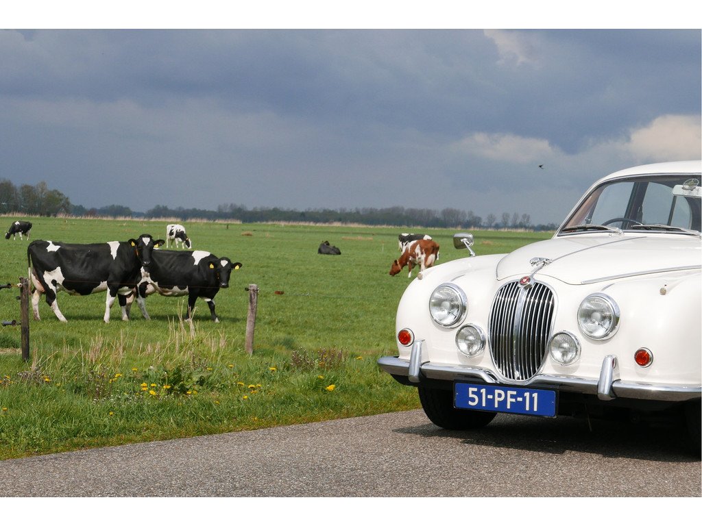 1968 Jaguar 240 - Overdrive, foto 8