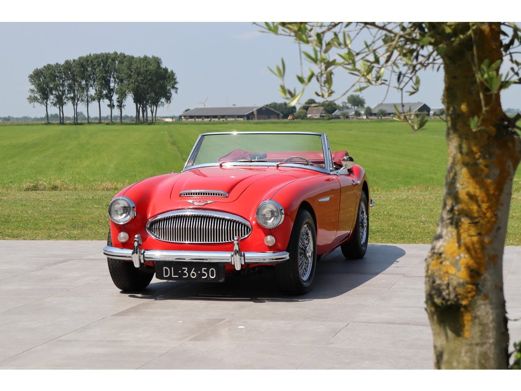 1964 Austin-Healey 3000 - MkIII, foto 12