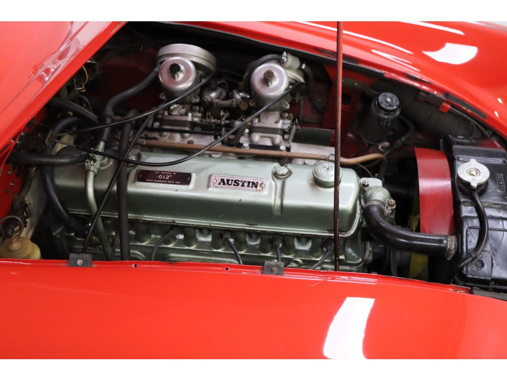 1964 Austin-Healey 3000 - MkIII, foto 3