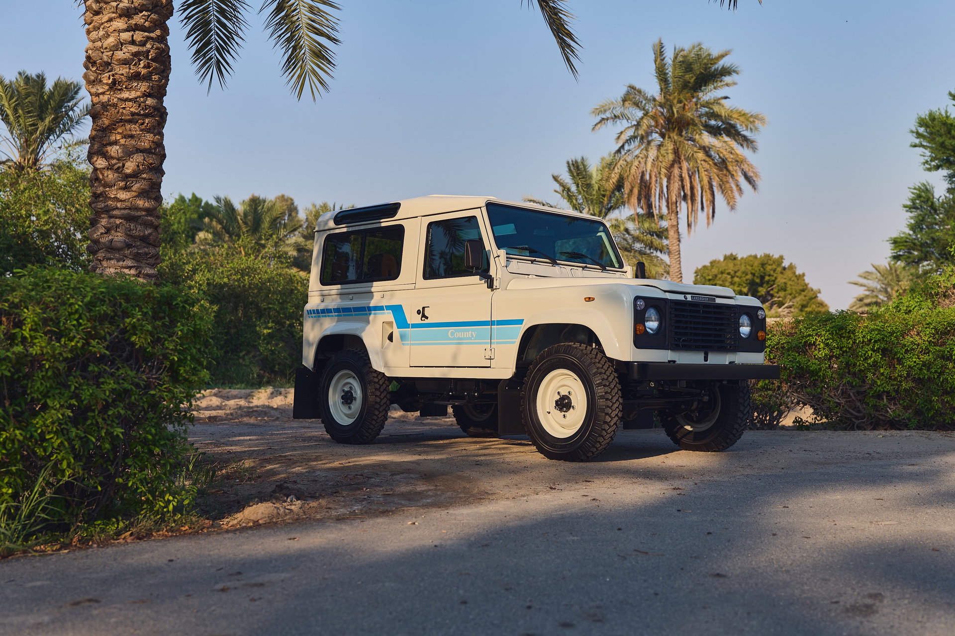 1985 Land Rover Defender - 90 - V8, foto 4