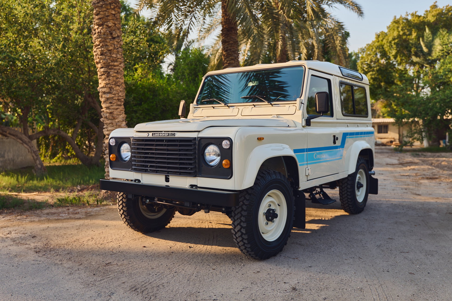 1985 Land Rover Defender - 90 - V8, foto 6