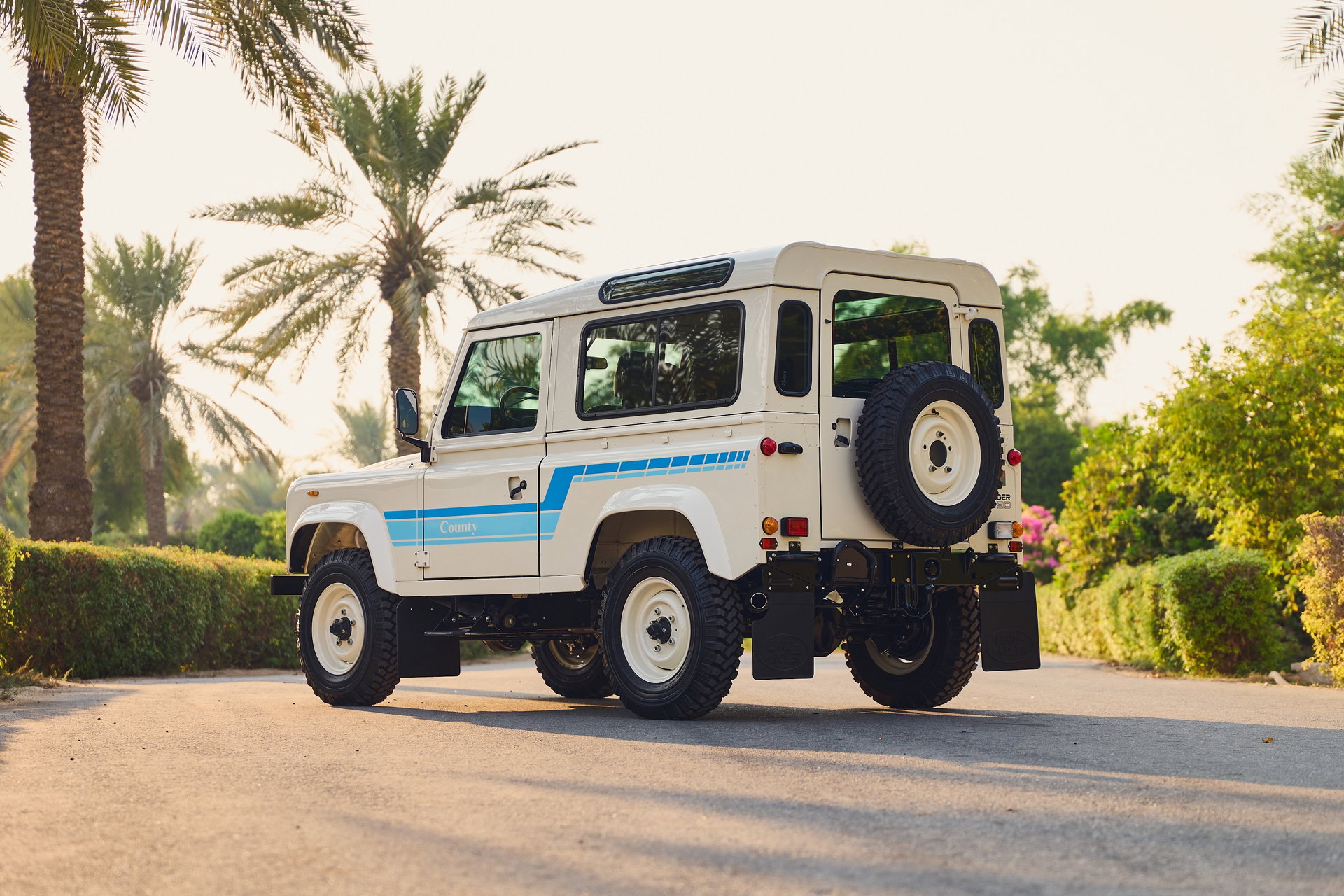 1985 Land Rover Defender - 90 - V8, foto 3
