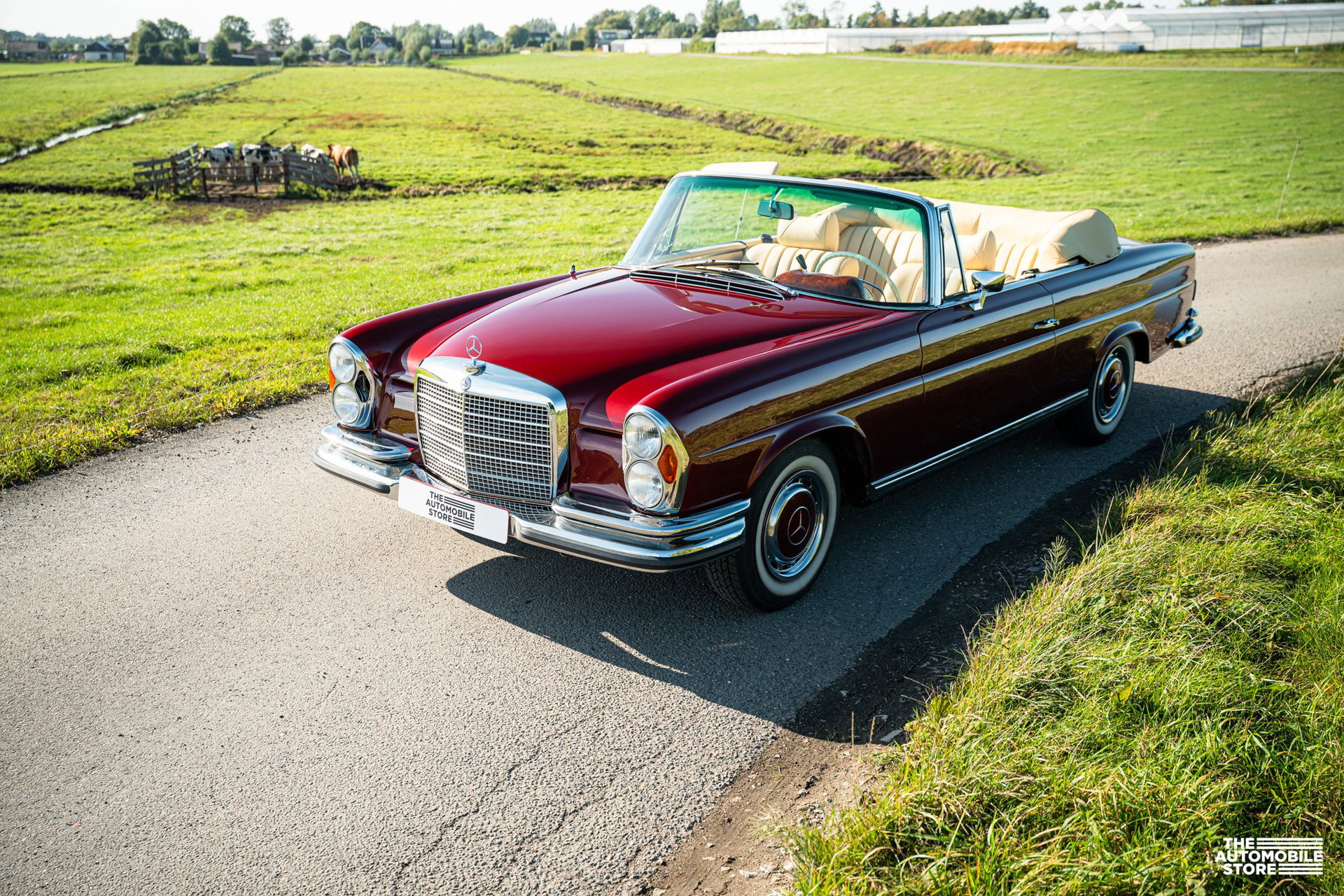 1970 Mercedes-Benz S-Class W111/112 - 280SE Cabriolet, foto 6