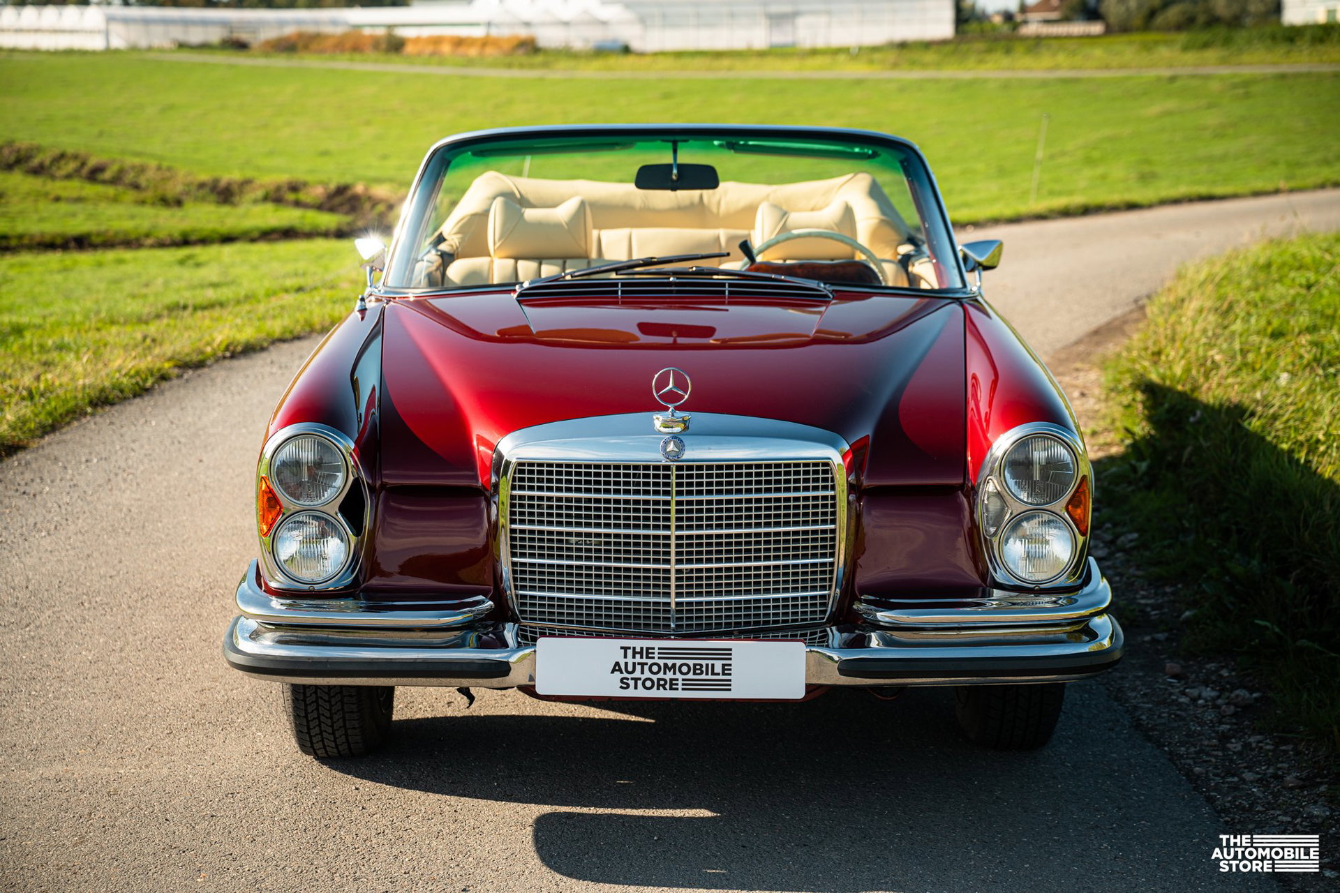1970 Mercedes-Benz S-Class W111/112 - 280SE Cabriolet, foto 9