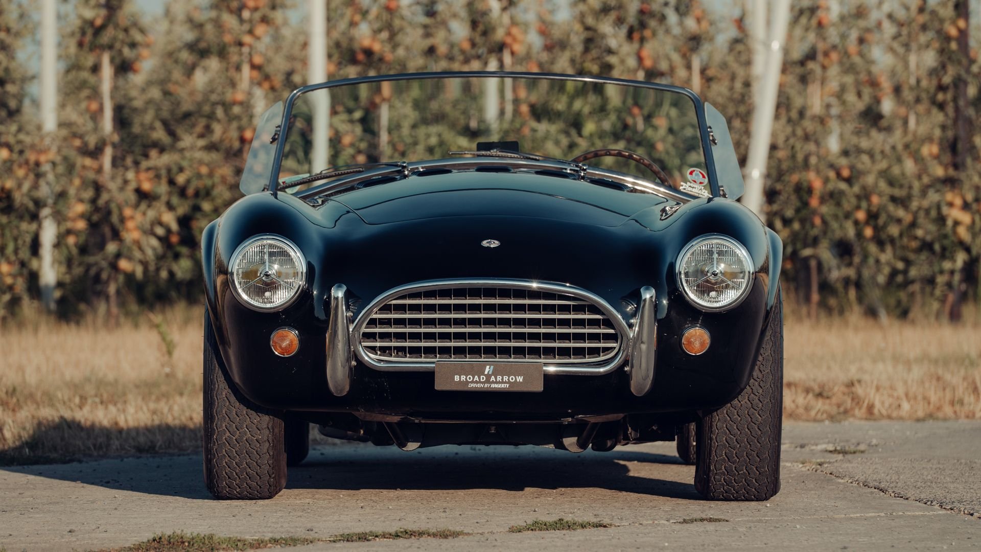 1963 Shelby Cobra, foto 8