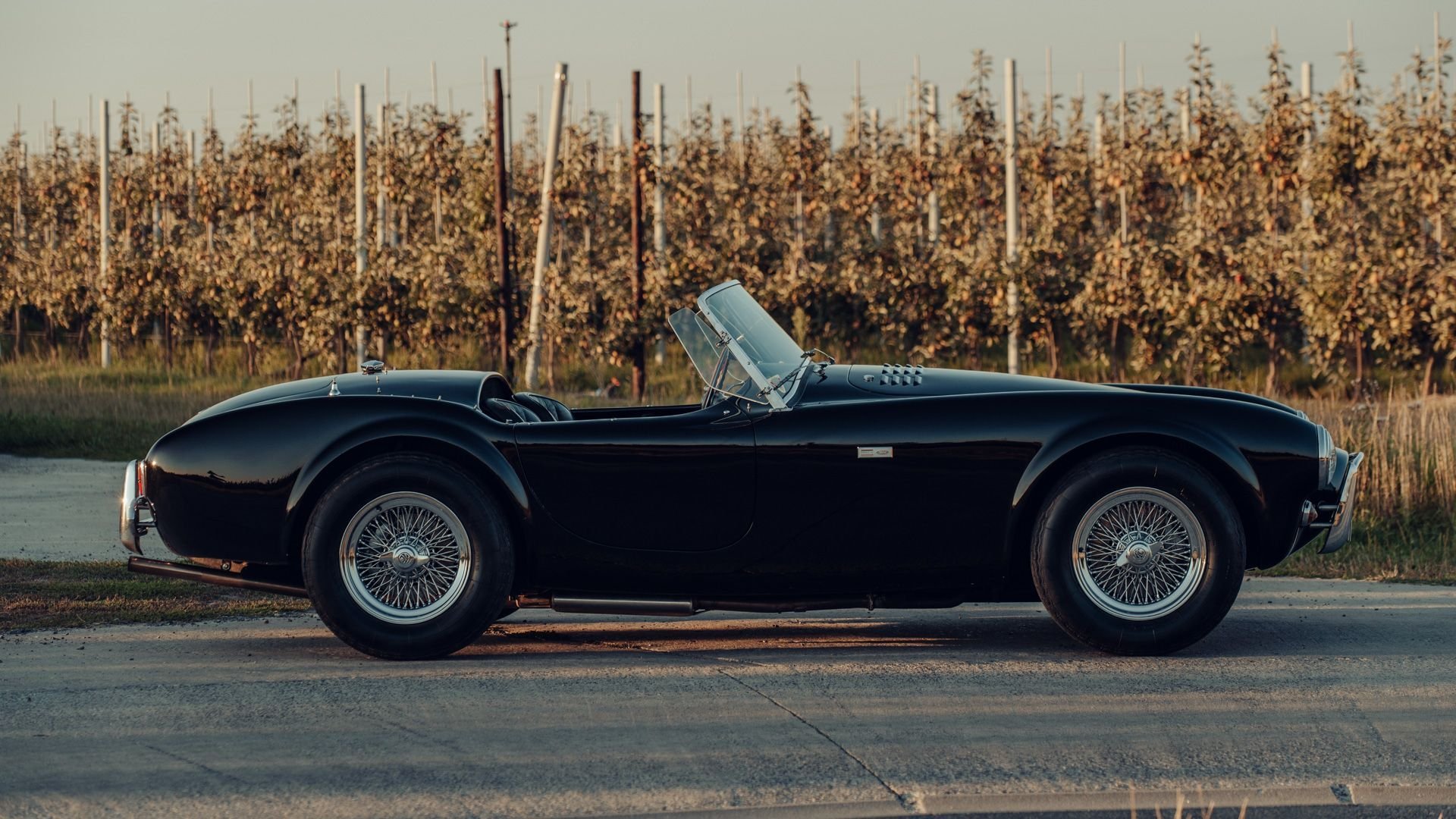 1963 Shelby Cobra, foto 5