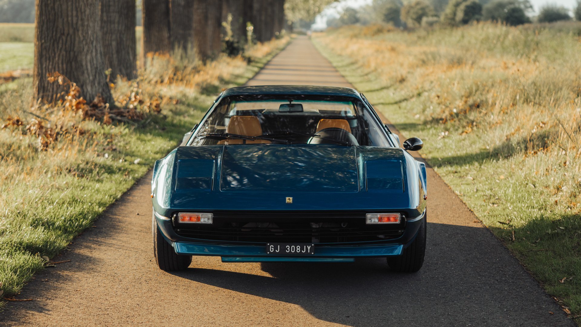 1979 Ferrari 308, foto 3
