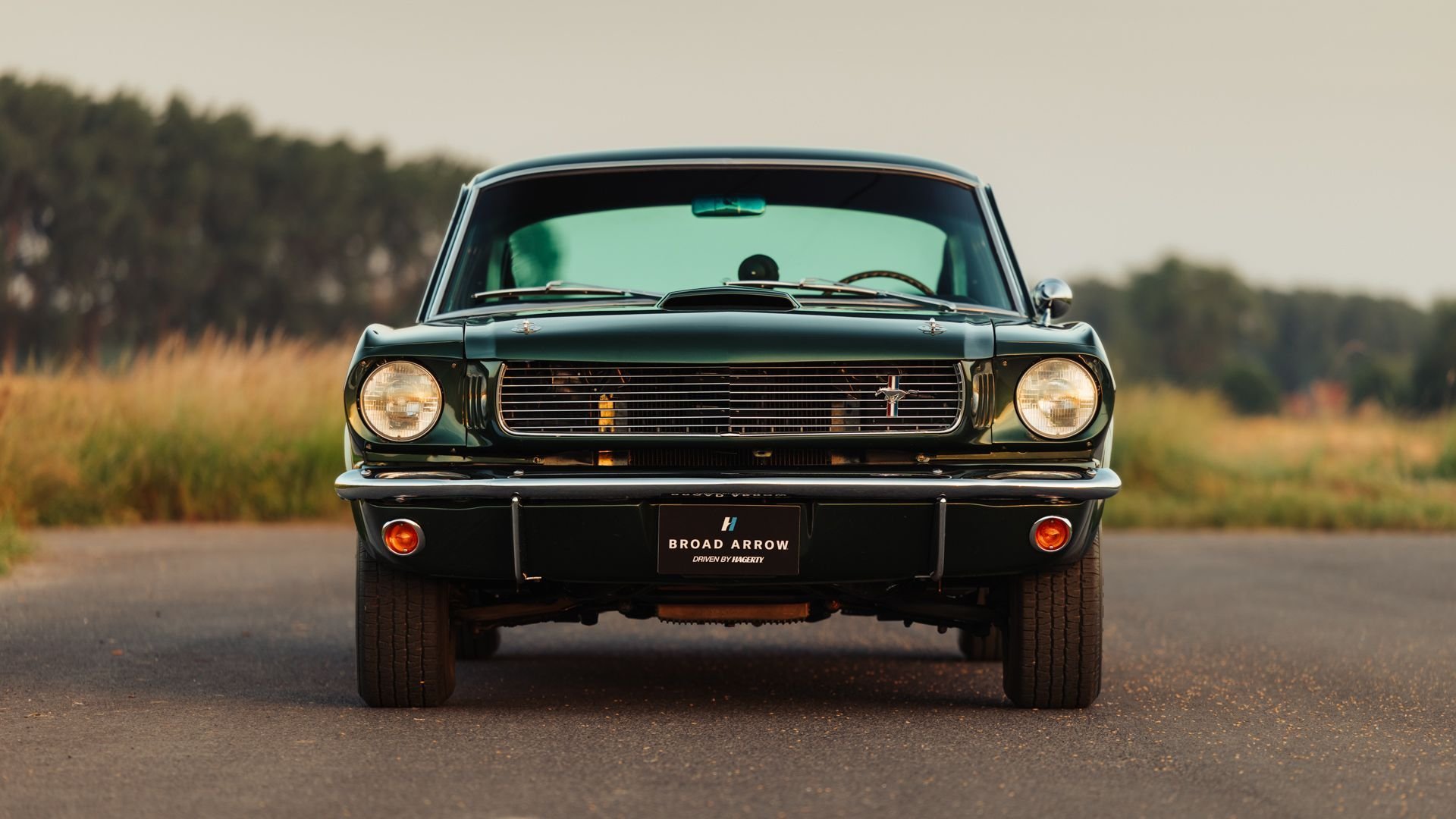 1966 Shelby GT 350, foto 6