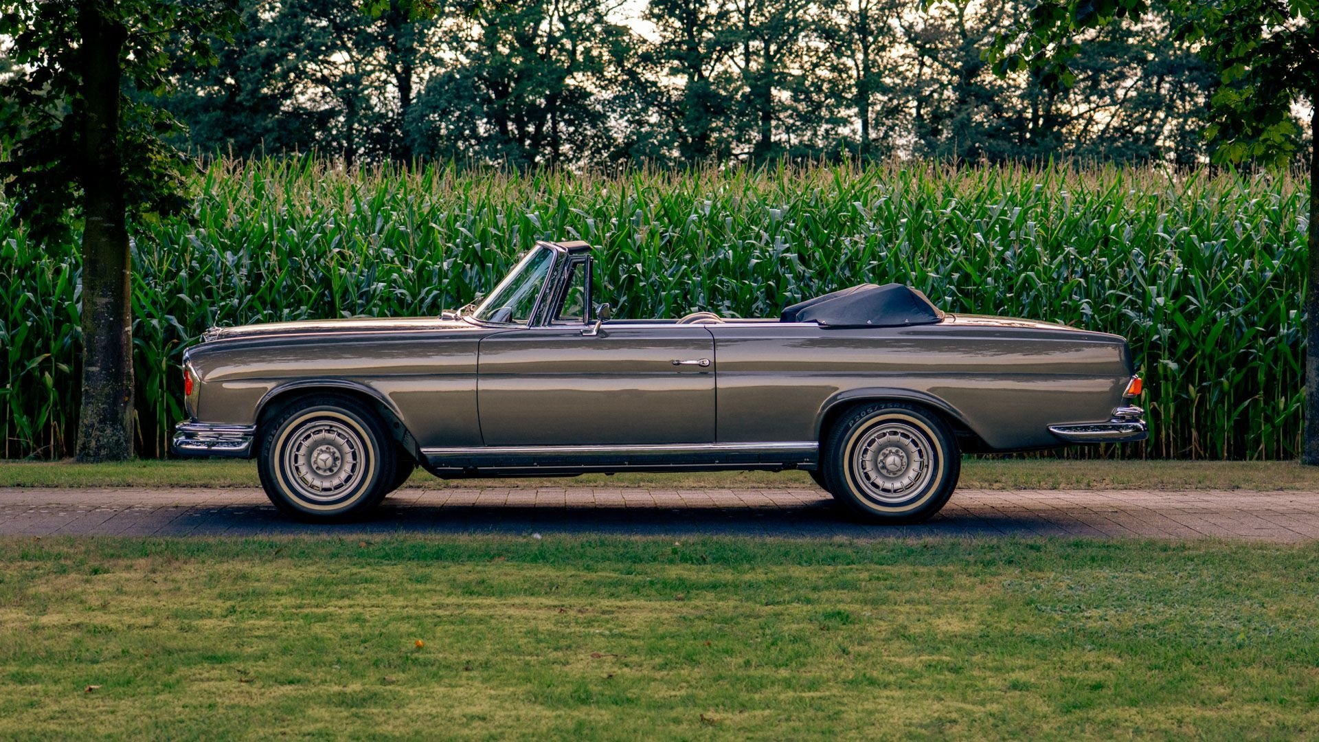 1967 Mercedes-Benz S-Class W111/112, foto 3