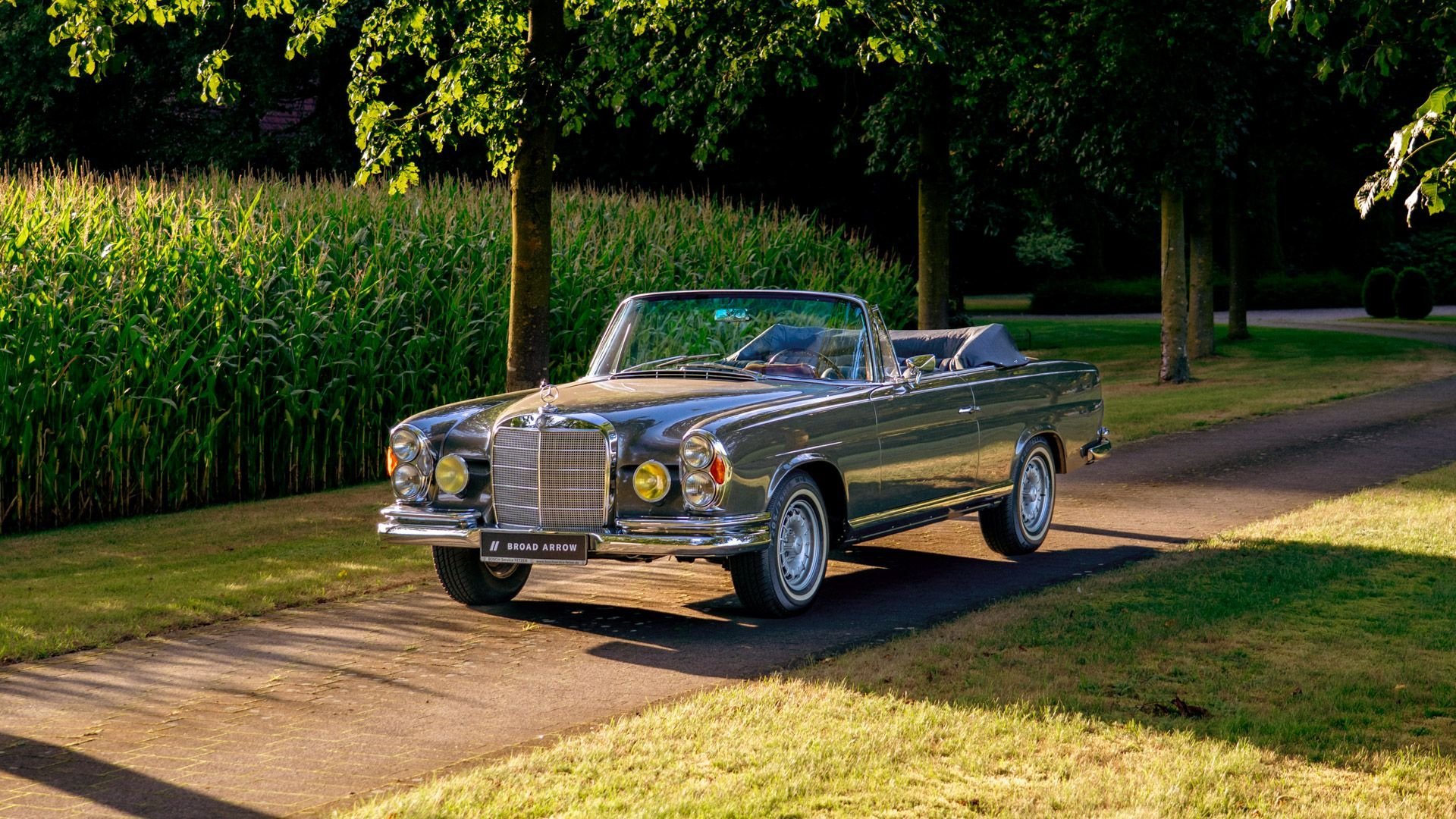 1967 Mercedes-Benz S-Class W111/112, foto 12